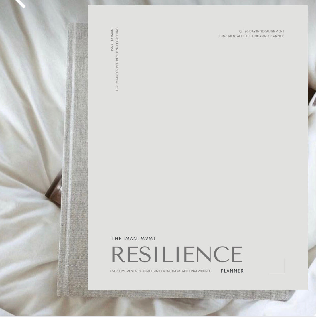 The Resilience Planner